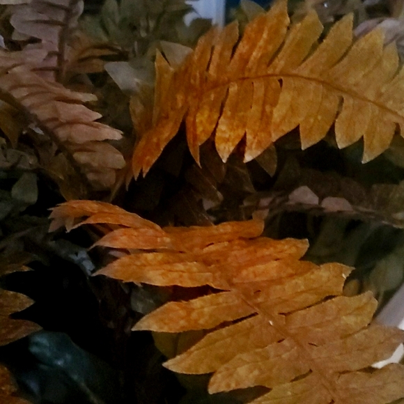 Meet your Posher, Michele - Picture 1 of 1